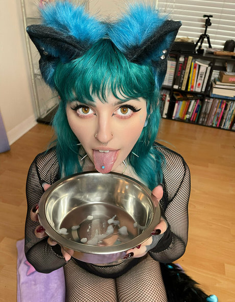 purrrvee model galleries