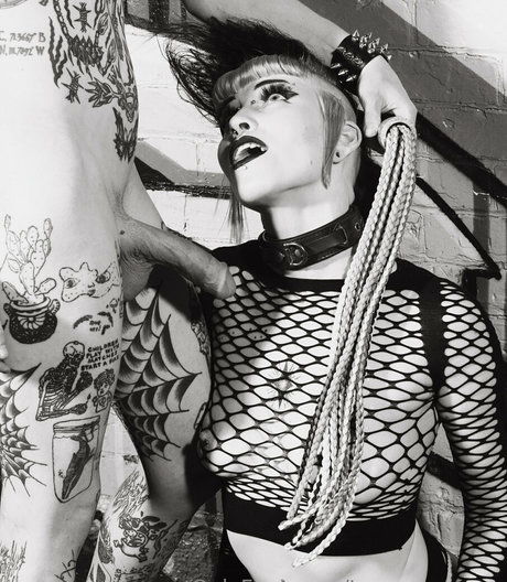 ts snowqueen top pornstar photo