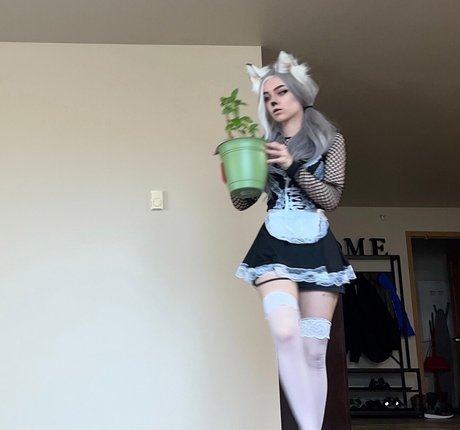 Awkspew roo2 model top picture