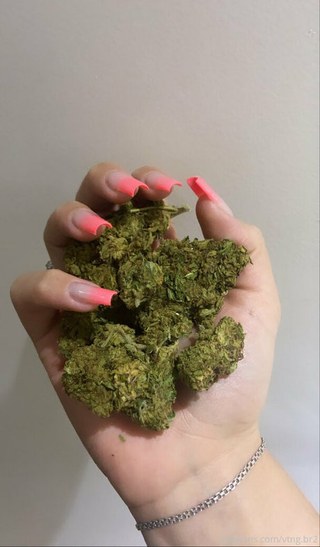 vtng br2 hd pornstar img