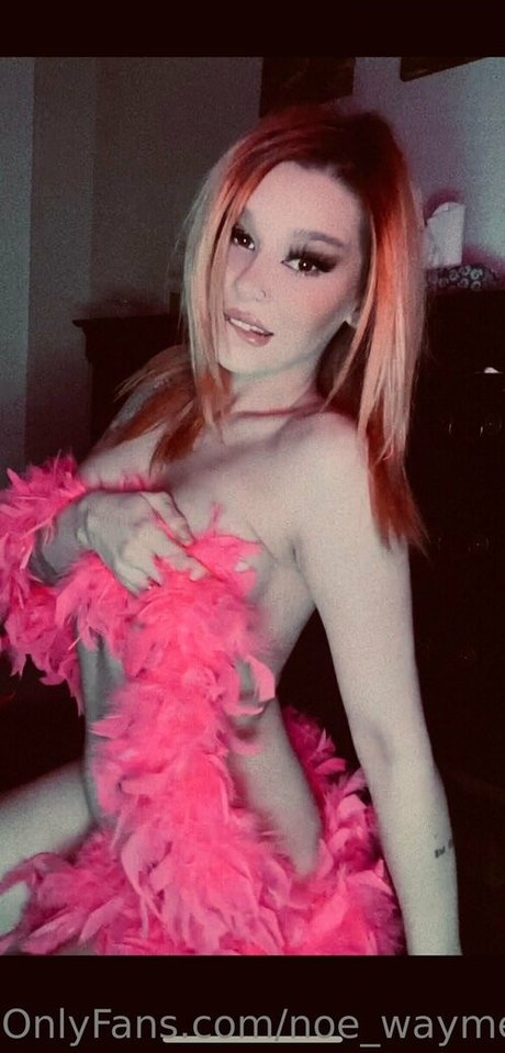 noe waymefree240399 pornstar sexy pics