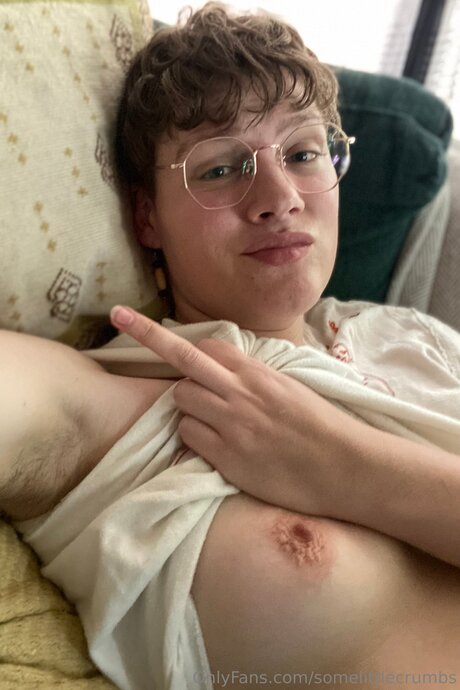 somelittlecrumbs perfect star archive