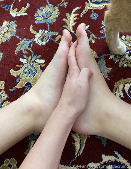 somelittlecrumbs star nice image