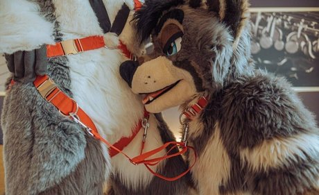 after neigh pornstar sexy pic