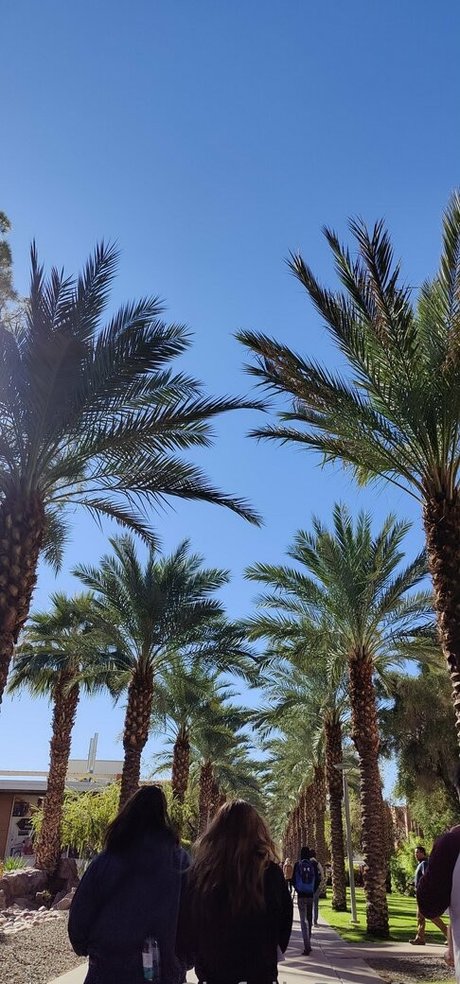 sinfullypurrfuct star xxx pictures