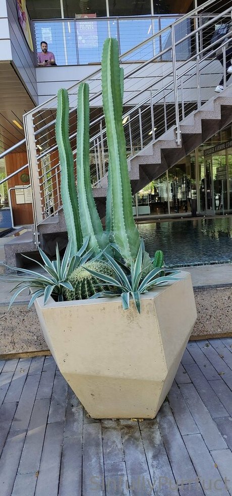 sinfullypurrfuct sexy actress galleries