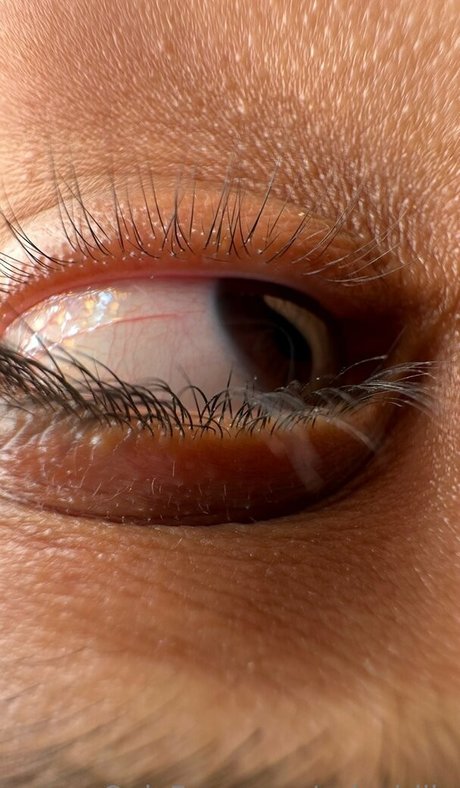 solecirilla adult actress image