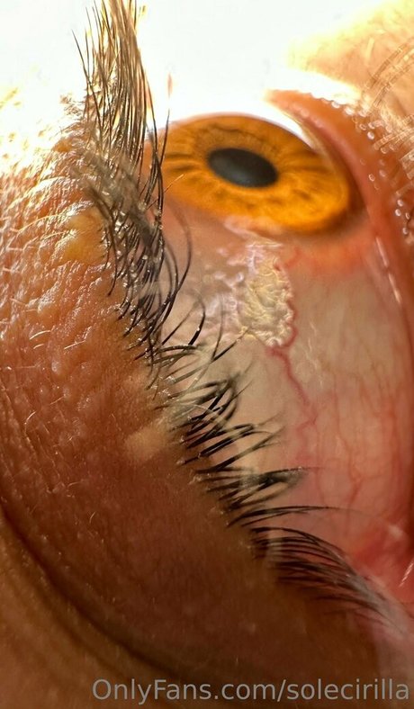 solecirilla star free picture