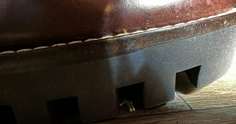 solecirilla beautiful star image