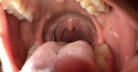 solecirilla hot pornstar pics