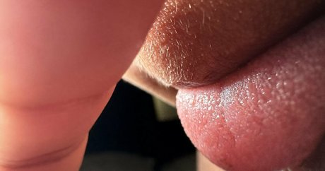 solecirilla free star archive