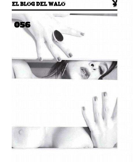 Celeste Muriega pornstar hd photos