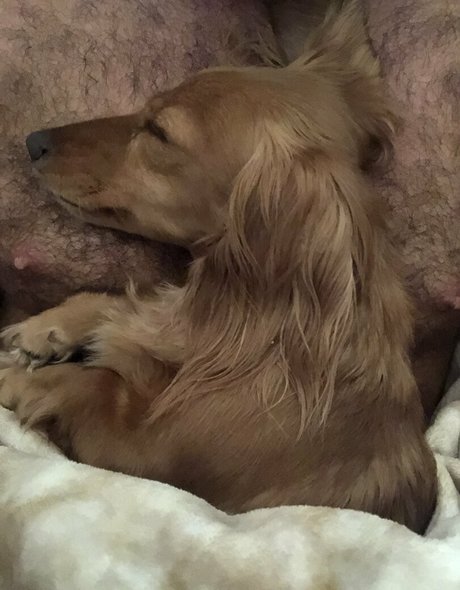 chadwhitexxxfree model xxx img