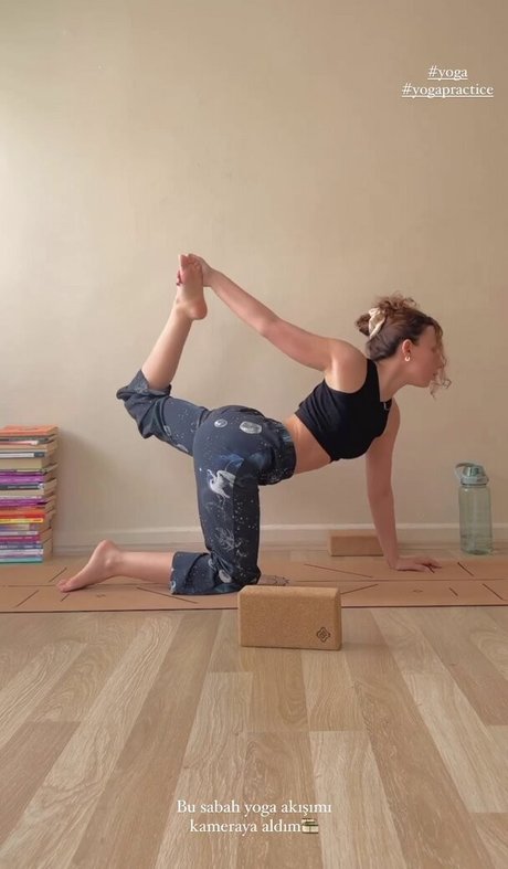 Meltem Koc model nudes pic