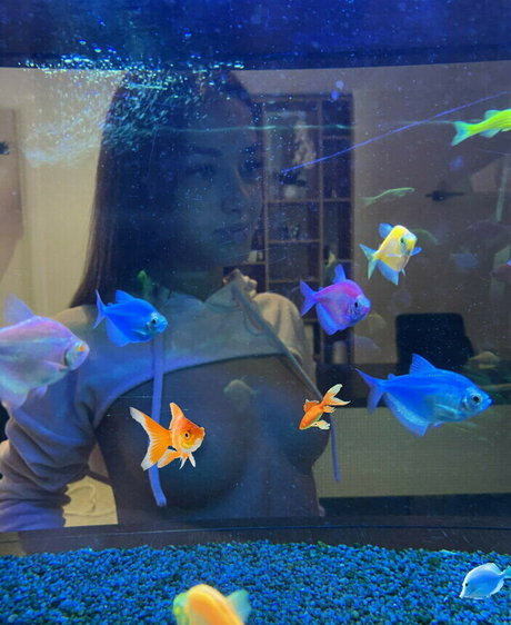 Tiffany Houston pornstar erotic images