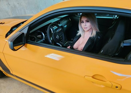 virginiabelle xoxo pornstar beautiful galleries