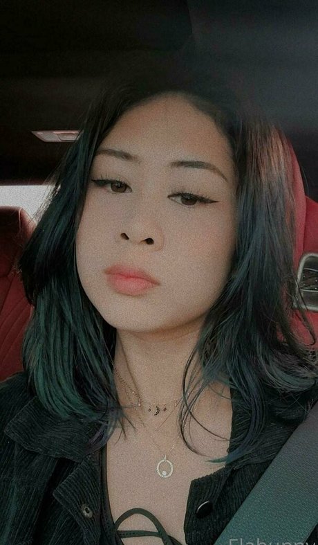 elabunny pretty star image