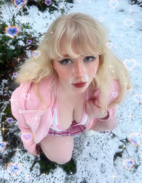 purrchaco star free images