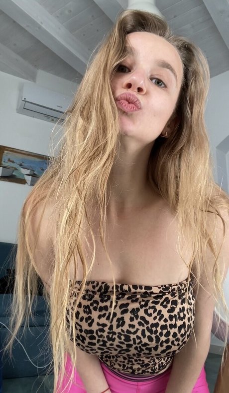 touch nancydrew model top img