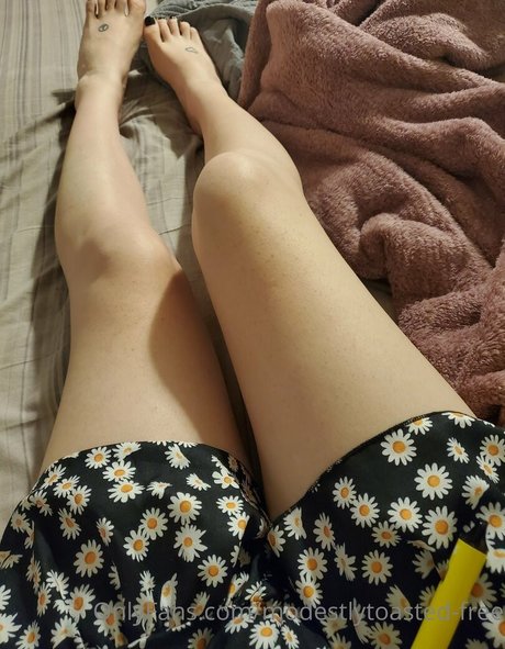 modestlytoasted free model free gallery