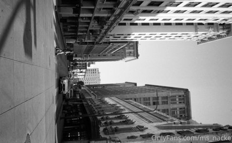 ms nacke star high quality photo