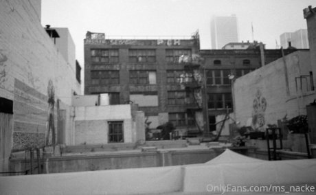 ms nacke perfect pornstar galleries