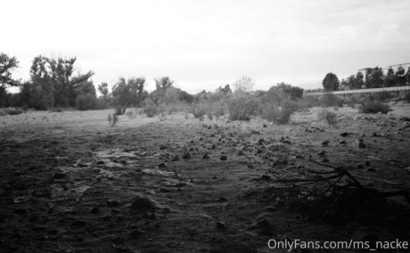 ms nacke pretty star photo