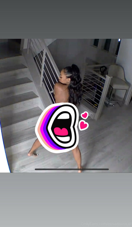 ninadoesitall model top photo