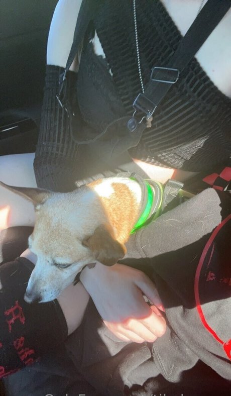 tikalovexo pretty pornstar galleries