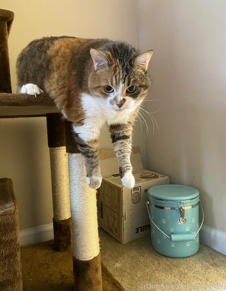 gay slave onlyfans free pic