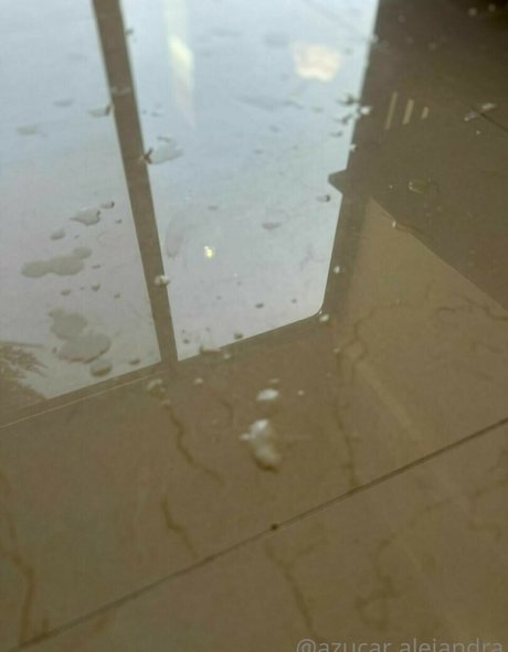 Azucar Alejandra pornographic actress photos