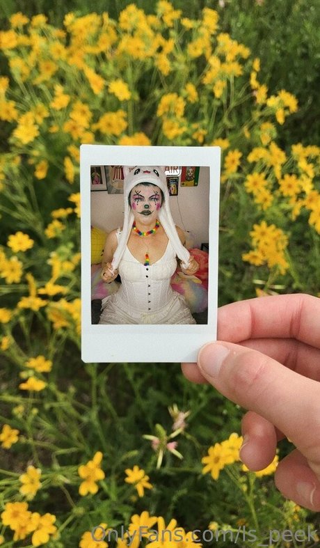 ls peek best star picture