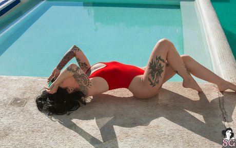 Arson adult star images