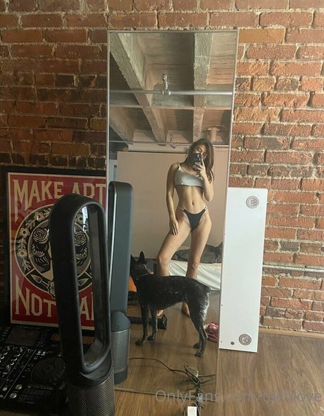 tashlove pornstar photos