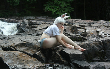 breadbren star best images