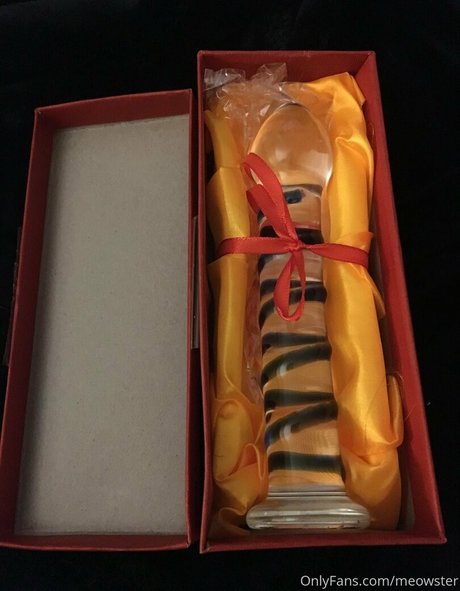 meowster porn model pictures