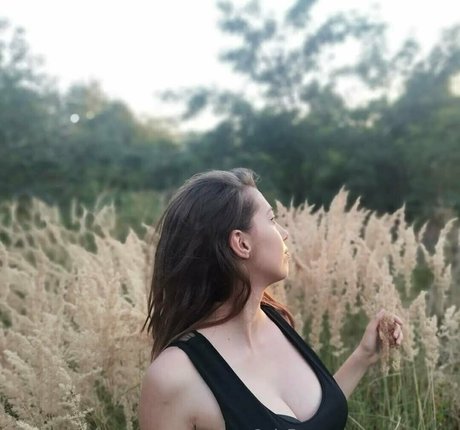 meryconlae nice star picture