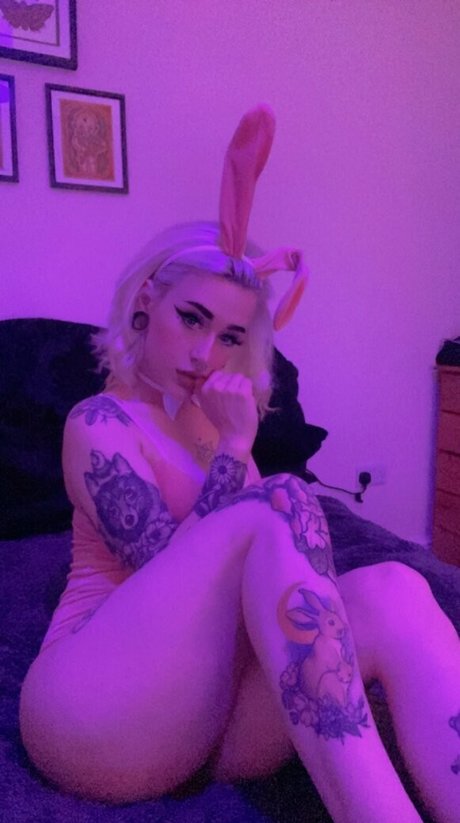 meh danni star pornographic picture