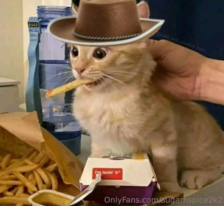 smoll n sweet 2k2 pornstar naked archive