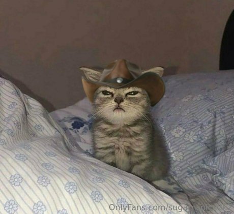 smoll n sweet 2k2 pretty pornstar galleries