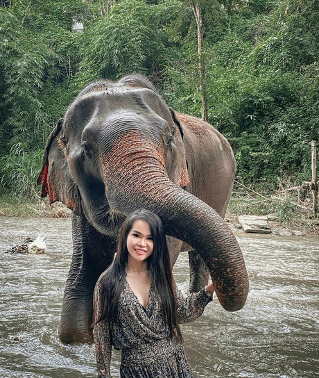 pingthai top model gallery