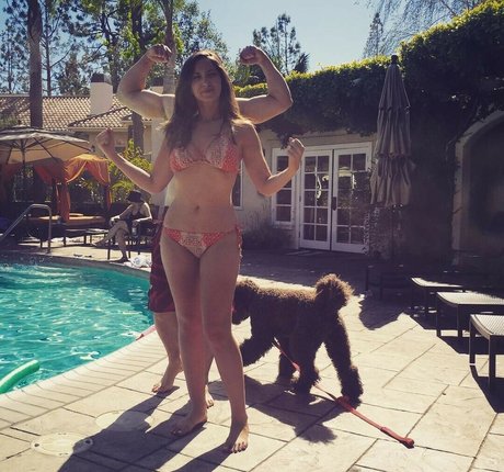 Jamie Amanda Lee xxx pornstar archive