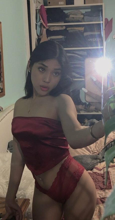 vashwty star high quality photos