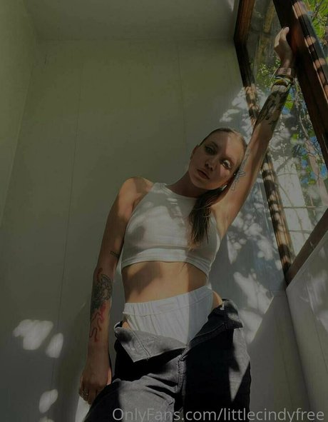 littlecindyfree pornstar art picture