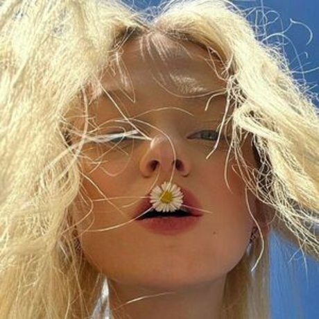 asica meow free star images