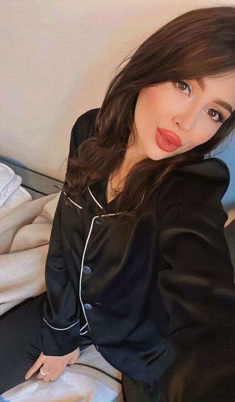 loyrifree star perfect archive