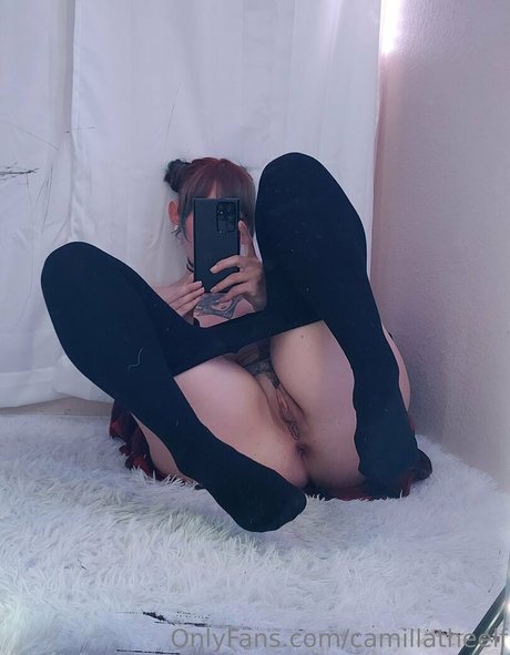 Camillatheelf star art img