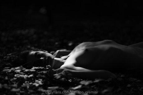 Stefano Cremisi xxx actress img