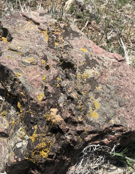 naomiwildman3 nudes star gallery