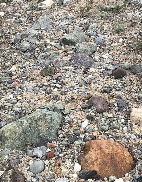 naomiwildman3 nice star photos